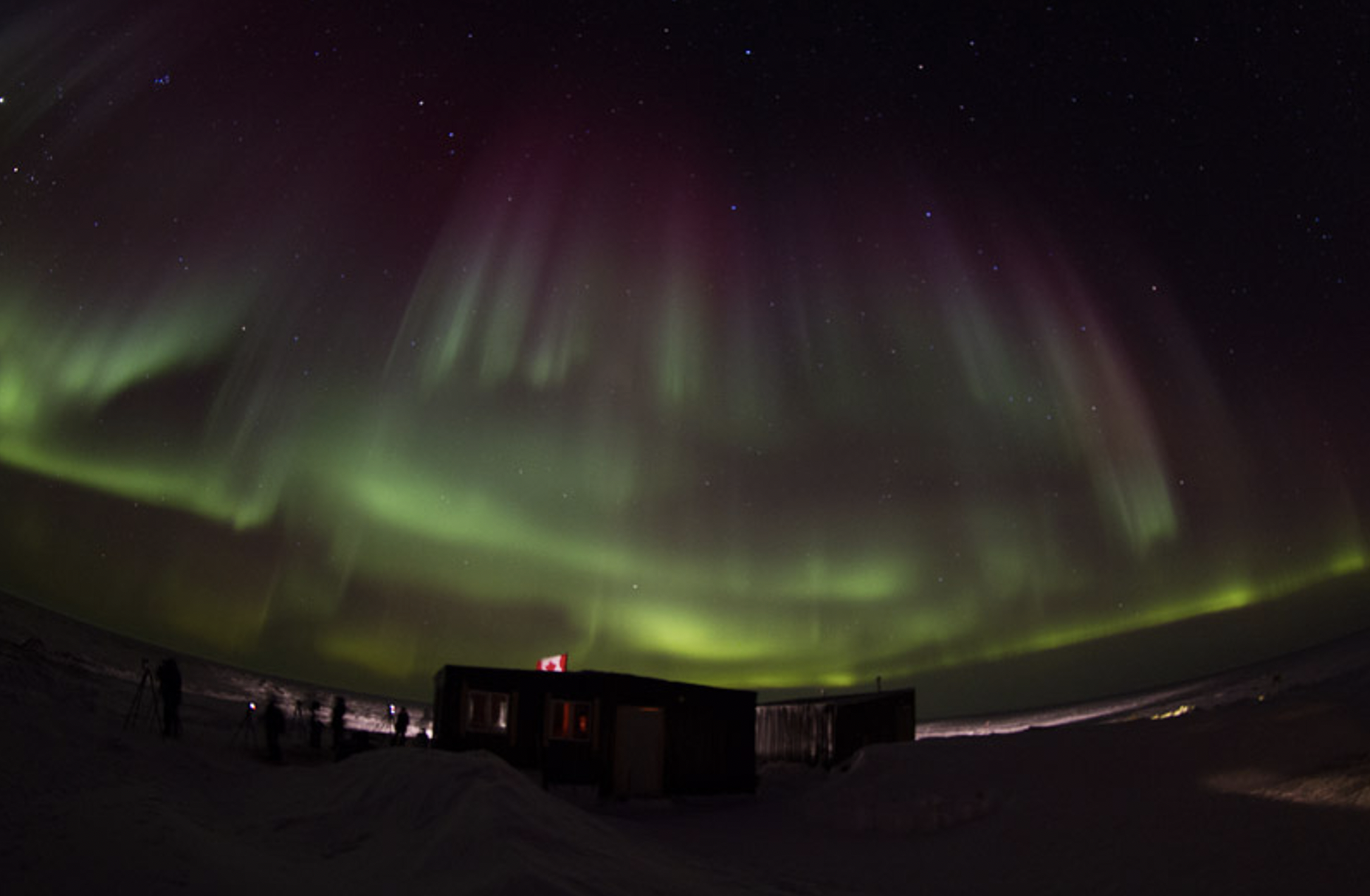 Polar Bear Migration Fly-In Safari by Arctic Kingdom20-1